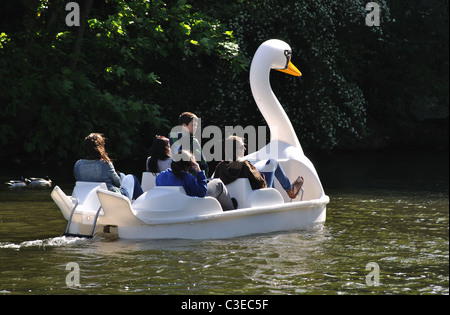 Swan pedalò sul fiume Avon, Warwick, Warwickshire, Inghilterra, Regno Unito Foto Stock