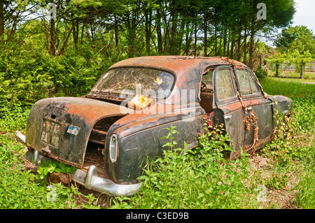 Abbandonato anni sessanta francese della Peugeot 403 4 porte berlina familiare auto. Foto Stock