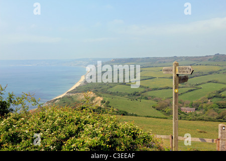 Vista verso la spiaggia di Charmouth e nella campagna del Dorset England Regno Unito Foto Stock