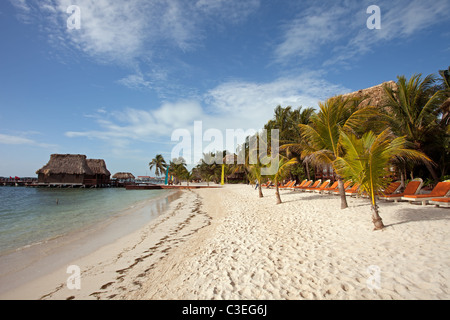 Ambergris Caye: San Pedro: Ramons Village Foto Stock