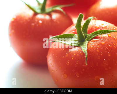 Vitigno fresca di pomodori maturi Foto Stock