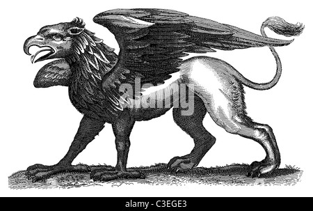 Gryphon, o Griffin, una mitica creatura Uccello parte, parte lion, parte assurdità. Da un 1678 libro di storia naturale (!) Foto Stock