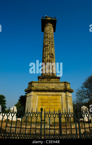 Colonna dell'inquilino, Alnwick, Northumberland Foto Stock