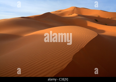 La mattina presto in luce le enormi dune di Erg Chebbi vicino a Merzouga in Marocco Foto Stock