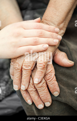 Vecchi e giovani mani. Le mani della vecchia donna - 84 anni coperti con giovani mani Foto Stock