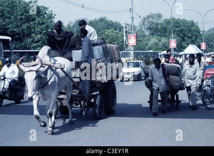 Le persone che effettuano il trasporto di merci su un carrello di giovenco, New Delhi, India Foto Stock