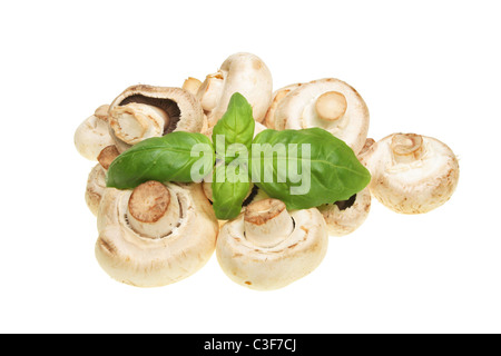 Gruppo di funghi prataioli e un rametto di basilico fresco foglie di erbe Foto Stock