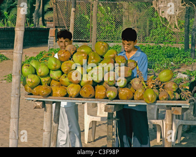 Venditore di cocco a Ganpatipule beach. Ratnagiri, Maharasthra, India Foto Stock