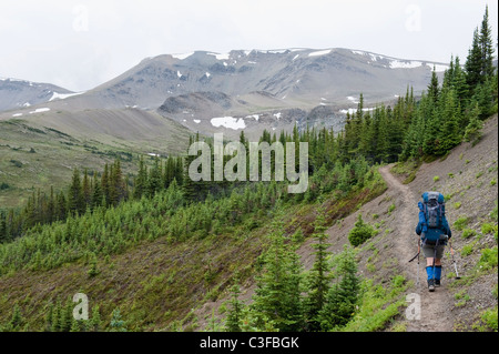 Donna ispanica trekking sul Sentiero nel bosco Foto Stock