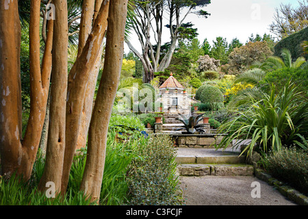 L'agave fontana e piscina sulla scalinata che conduce alla grotta di shell a Tresco Abbey Gardens sulle Isole Scilly Foto Stock