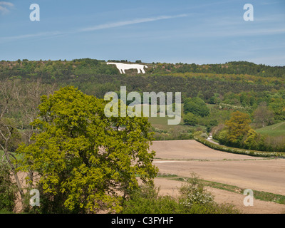 White Horse a Kilburn North Yorkshire Regno Unito Foto Stock