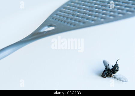 Mosca morta e Swat Foto Stock