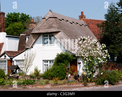 Cottage con il tetto di paglia nel villaggio di Finchingfield, Essex, Regno Unito Foto Stock