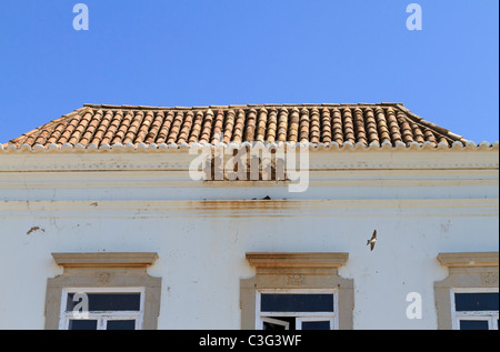 Casa Martins, Delichon urbica, nesting in il cornicione di un edificio a Tavira, Portogallo Foto Stock