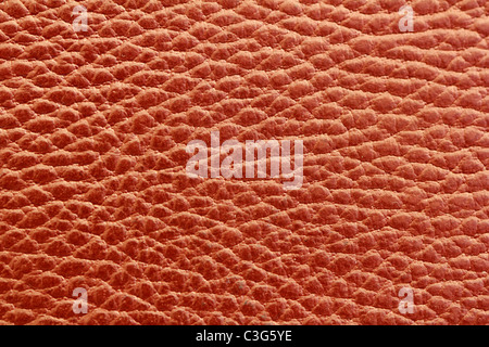 In pelle marrone macro texture closeup dettaglio Foto Stock