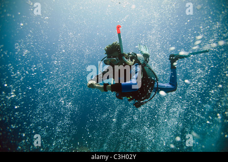 Un subacqueo si blocca nel flusso di bolle che salgono dal Canyon. Mar Rosso, Dahab, Egitto Foto Stock