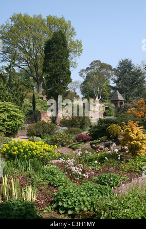 Vista del giardino di roccia a Ness Giardini Botanici, Wirral, Regno Unito Foto Stock