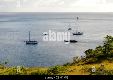 Barche a vela in porto Basseterre St Kitts crociera nei Caraibi NCL isola Vista Foto Stock