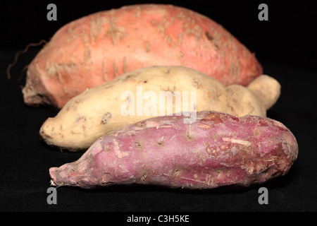 Primo piano di tre tipi di patate dolci su sfondo nero Foto Stock