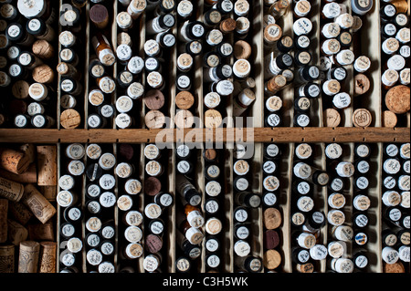 Bottiglie di medicinale omeopatico pillole in un assorbimento di legno Foto Stock