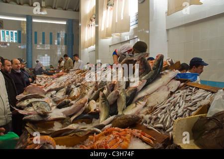 Marche Central de Poissons mercato di pesce a Le Grand Socco square Tangeri Marocco Africa settentrionale Foto Stock