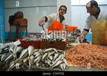 Marche Central de Poissons mercato di pesce a Le Grand Socco square Tangeri Marocco Africa settentrionale
