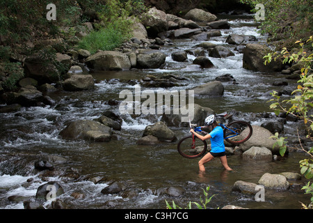 Donna attraversando Iao Valley Stream, Maui, Hawaii con una bicicletta di montagna. Foto Stock
