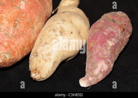 Varietà di patate dolci Foto Stock