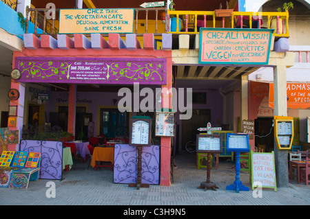 Vegani e vegetariani segni ristorante Medina città vecchia centrale di essaouira marocco Africa settentrionale Foto Stock