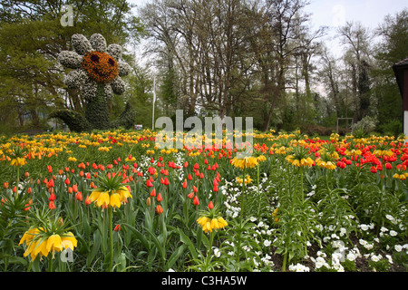 Blumenfeld, bluehendes, Blumeninsel Mainau, Campo dei fiori che sbocciano, Isola di Mainau, Deutschland, Germania Foto Stock