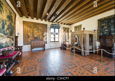 Il re Enrico II della camera, Chateau d'Amboise, valle della Loira, Francia Foto Stock