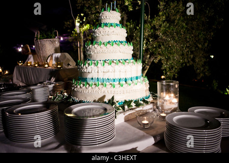 Grande bianco e verde di torta di nozze al ricevimento di nozze Foto Stock