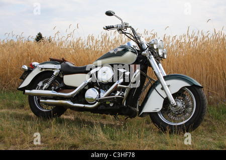 Motorrad, Kawasaki, im Kornfeld, Seitenansicht, moto, Moto, in cornfield, vista laterale Foto Stock