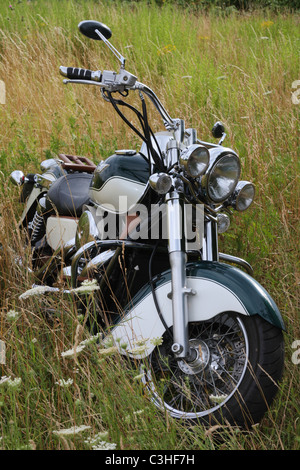 Motorrad, Kawasaki, im Kornfeld, moto, Moto, in cornfield Foto Stock