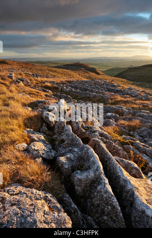 Il calcare scoscese marciapiede sopra Malham nel Yorkshire Dales di Inghilterra Foto Stock