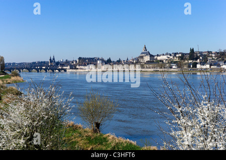 Vista della città vecchia attraverso il fiume Loira in primavera, Blois, Valle della Loira, Touraine, Francia Foto Stock