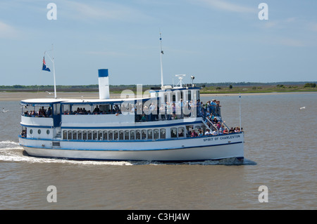 Carolina del Sud, Charleston. Downtown Charleston area portuale, acqua taxi su Cooper River con Ravenel Bridge. Foto Stock