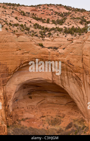 Betatakin rovina, il significato di "casa costruita su una sporgenza' nella Navajo, Navajo National Monument, Arizona, Stati Uniti. Foto Stock