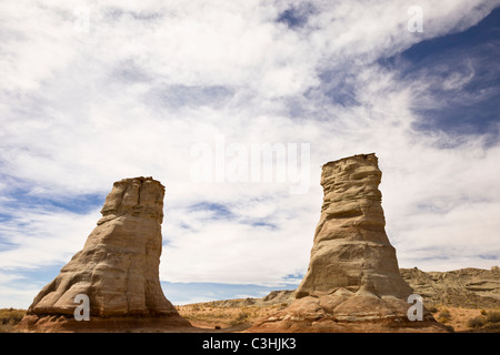 Piedi di elefante pilastri, una insolita formazione rocciosa naturale vicino alla Monument Valley in Northern Arizona, Stati Uniti d'America. Foto Stock