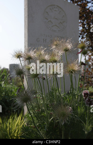 Tyne Cot cimitero. Il più grande WW1 cimitero degli alleati Foto Stock