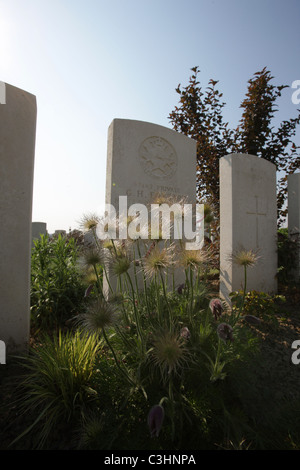 Tyne Cot cimitero. Il più grande WW1 cimitero degli alleati Foto Stock