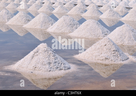 Fattoria di sale in Samut Sakhon provincia sulla costa del Golfo di Thailandia Foto Stock