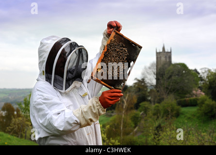 Un apicoltore assiste al suo alveare nel Somerset villaggio di Blagdon REGNO UNITO Foto Stock