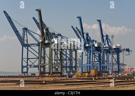 Le gru di banchina, porto di Felixstowe, Suffolk, Regno Unito. Foto Stock