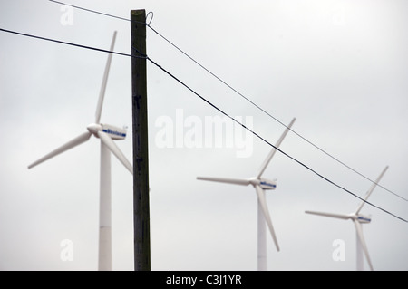 Parco eolico, UK. Foto Stock