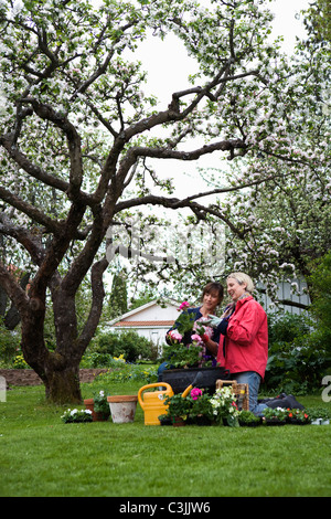 Due donne fiori di impostazione in vasi, Svezia. Foto Stock