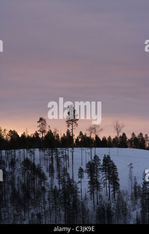 Inverno, Norrland, Svezia. Foto Stock