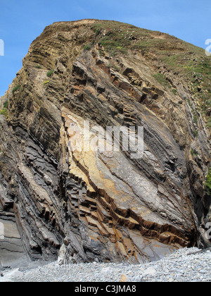 Contorte e inclinata di strati di pietra arenaria mostrato nelle scogliere a Sandymouth Bay, North Cornwall Foto Stock