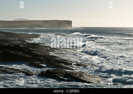 Dh baia di Skaill SANDWICK ORKNEY West costa rocciosa di Orkney onde da surf in arrivo a riva Foto Stock