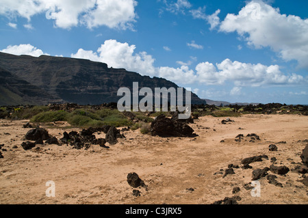 Dh spiaggia LANZAROTE ORZOLA Playa La Canteria e scogliere di Punta Fariones Foto Stock